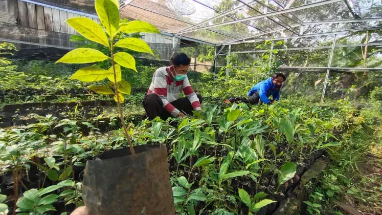 Sutarto, 43, (left) checks on tree seeds at a seedling nursery in Sanenrejo village, Jember regency, East Java on Feb. 15. He and several villagers have been working to replant trees in the deforested area of Meru Betiri National Park in the province. Image by JP/Wahyoe Boediwardhana. Indonesia. Two men crouch and check on tree seeds at a seedling nursery inside a greenhouse.