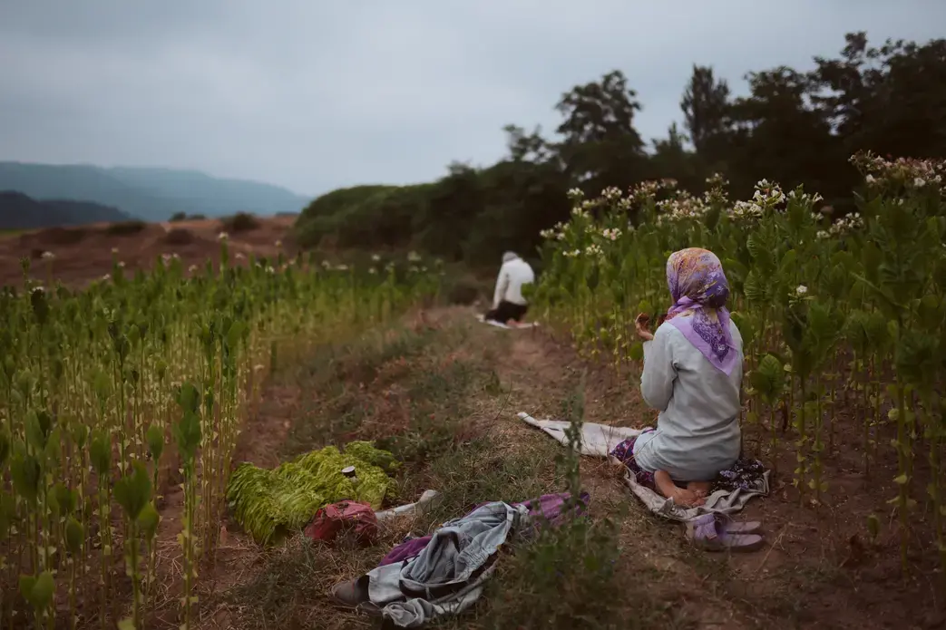 Girl and father perform sunrise prayer in a Bulgarian field