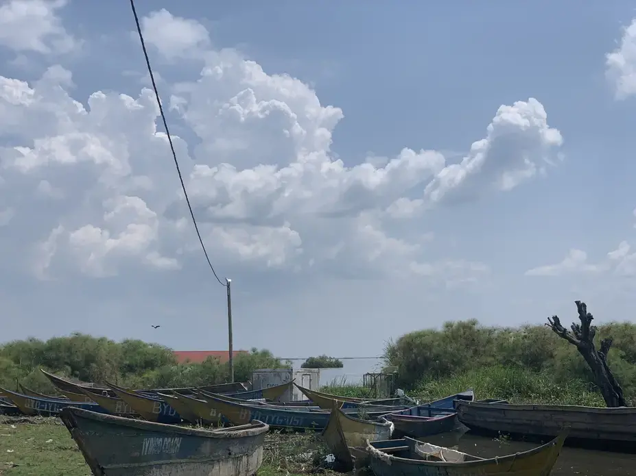 canoes docked