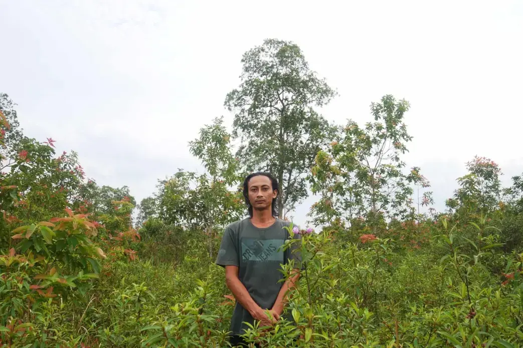 Arum-salah-satu-masyarakat-Dusun-Tanjung-Tirto-Desa-Bungur-yang-ikut-dalam-upaya-restorasi-hutan-bersama-dengan-Yayasan-Auriga-1200x800.jpg Arum is one of the people of Dusun Tanjung Tirto, Bungur Village who is participating in forest restoration efforts together with the Auriga Foundation.