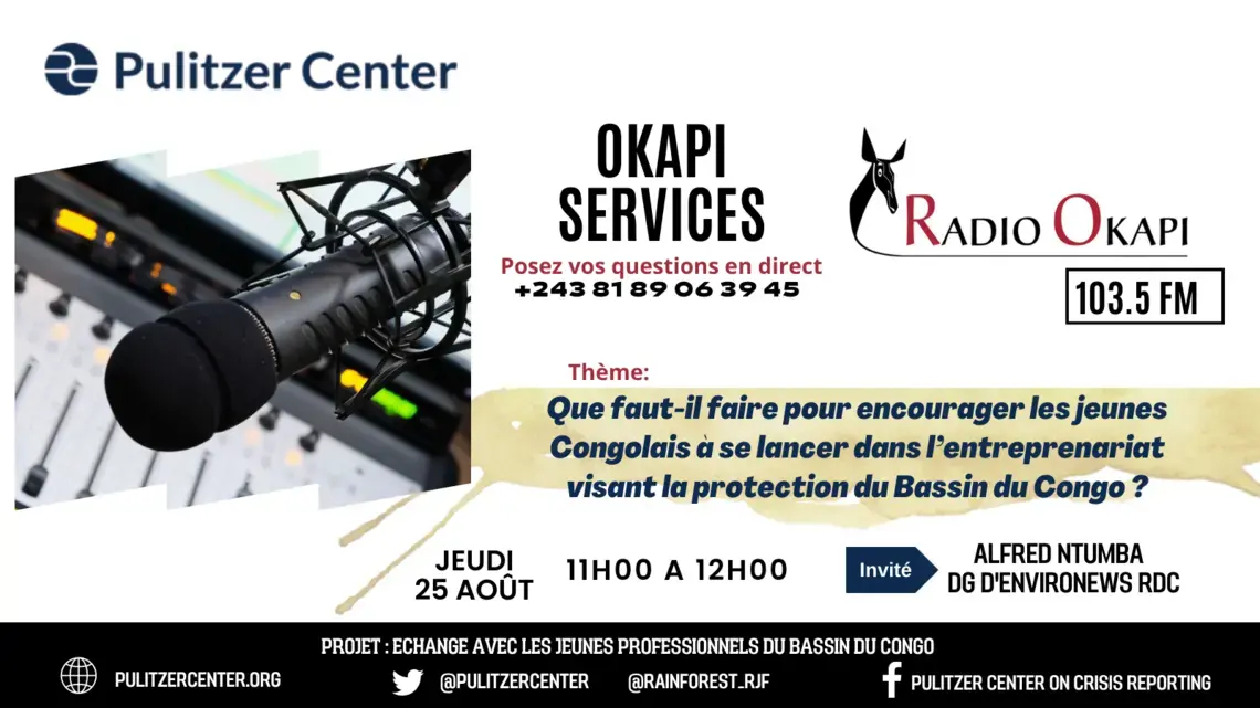 Poster - Radio show 4.png Promotional poster for "Que faut-il faire pour encourager les jeunes Congolais à se lancer dans l'entrepreneuriat visant la protection du Bassin du Congo?"