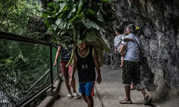 Remy Fernandez, carrying grandchild RJ, makes way for a porter carrying lotus leaves to market. She must make an hour-long climb up a mountain trail to where she can buy produce directly from farmers to sell at a higher rate of profit. Image by James Whitlow Delano. Philippines, 2018.