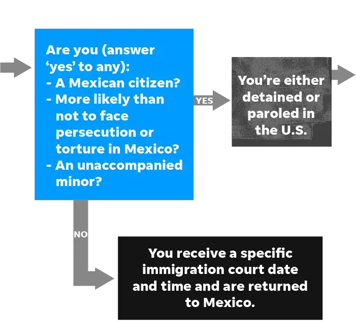 SOURCE U.S. Citizenship and Immigration Services. Image courtesy of Rebecca Plevin, Evan Wyloge/Desert Sun; Ramon Padilla, Jim Sergent/USA TODAY.