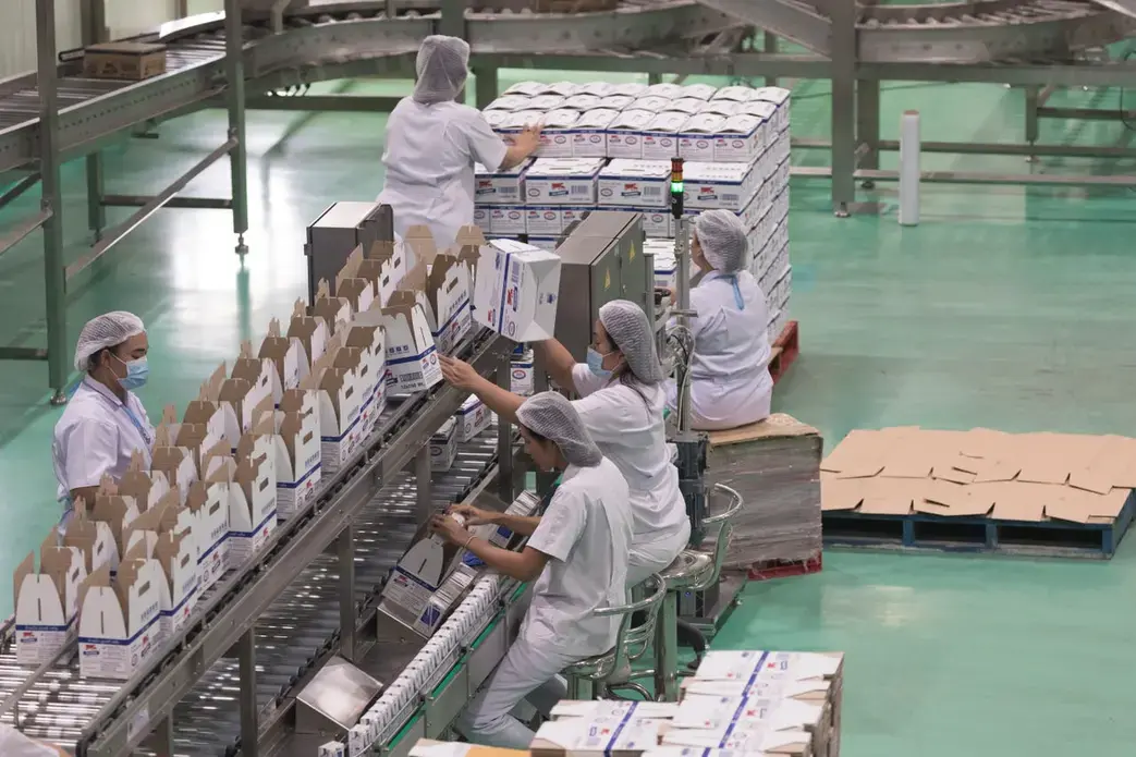 Milk is packaged at the Dairy Farming Promotion Organization in Pak Chong, Thailand. Image by Mark Hoffman. Thailand, 2019.