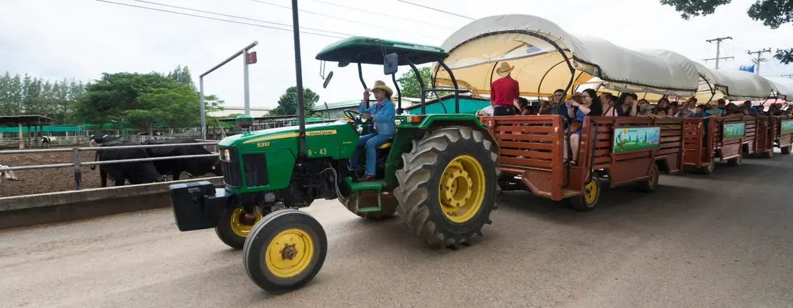 A tour group takes a ride at Farm Chokchai in Pak Chong, Thailand. Image by Mark Hoffman. Thailand, 2019. 