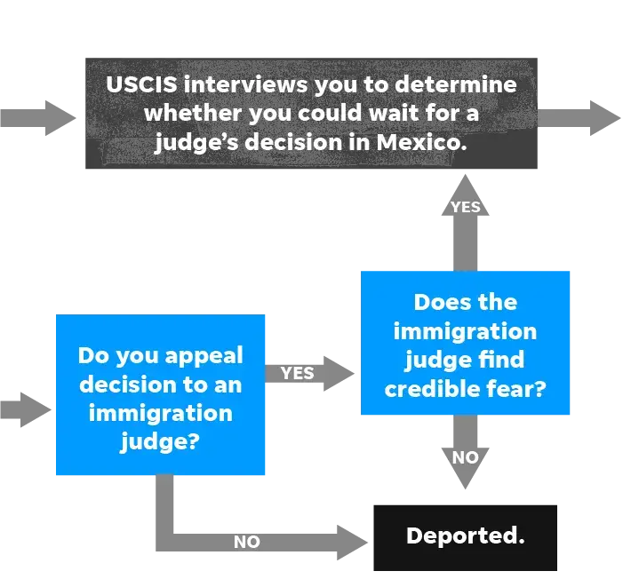 SOURCE U.S. Citizenship and Immigration Services. Image courtesy of Rebecca Plevin, Evan Wyloge/Desert Sun; Ramon Padilla, Jim Sergent/USA TODAY.