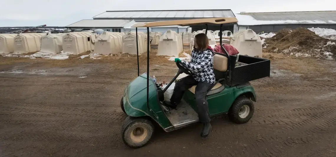 Maggie Breitenmoser, 14, feeds calves. Image by Mark Hoffman. United States, 2019.