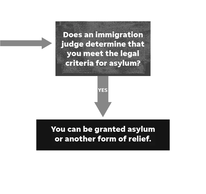 SOURCE U.S. Citizenship and Immigration Services. Image courtesy of Rebecca Plevin, Evan Wyloge/Desert Sun; Ramon Padilla, Jim Sergent/USA TODAY.