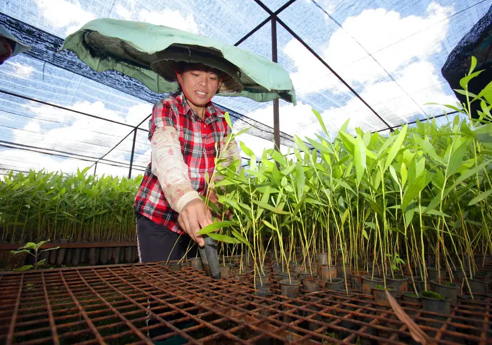 Media file: Paper Pixel - China - Nursery - 031 mjs, mjd, news.JPG