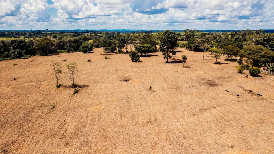 A patch of degraded pasture near Carlos Andretti's farm. Andretti says it’s what his property looked like when he first bought it. Image by Sam Eaton. Brazil, 2018.