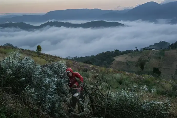 In the highlands of western Guatemala, in an area affected by deforestation, a man cuts firewood for cooking. Image by Mauricio Lima. Guatemala, 2019.