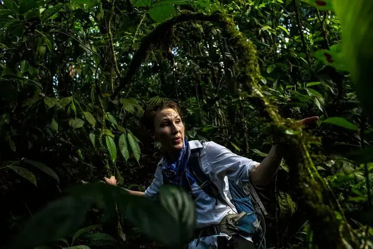 Fiona Soper, a McGill University biology professor, walks amid thick vegetation while assessing the plant species near Rincón de la Vieja. Image by Dado Galdieri / Hilaea Media. Costa Rica, 2020.