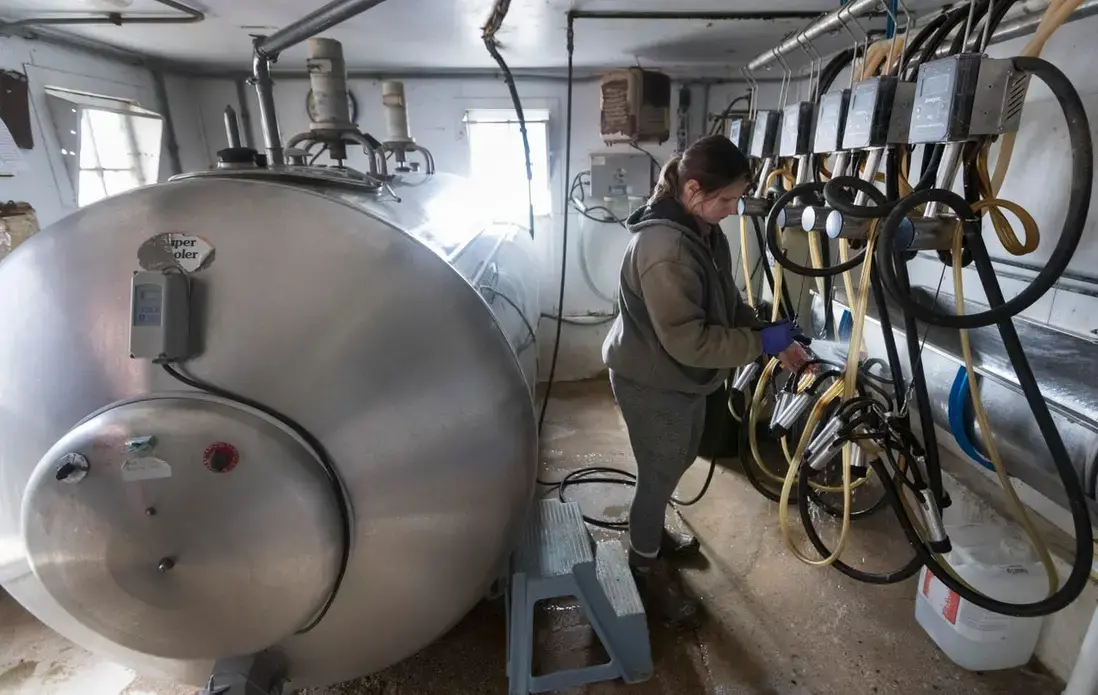 After helping her mother milk for the final time, Kacie Case cleans equipment. Image by Mark Hoffman. United States, 2019.