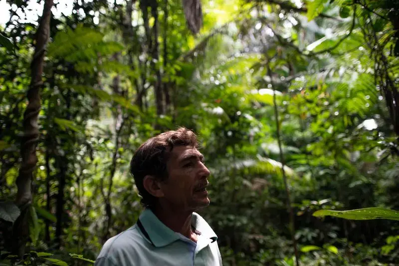 Elias da Silva Lima, 63, walks through the forest between his home and a clearing he farms on the Virola Jatoba settlement in Anapu. Image by Spenser Heaps. Brazil, 2019.