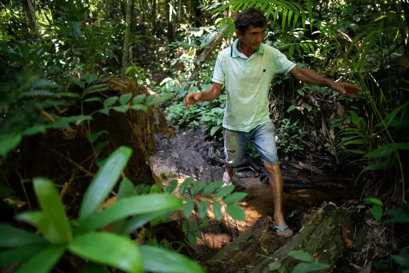 Elias da Silva Lima, 63, walks through the forest between his home and a clearing he farms on the Virola Jatoba settlement in Anapu. Image by Spenser Heaps. Brazil, 2019.