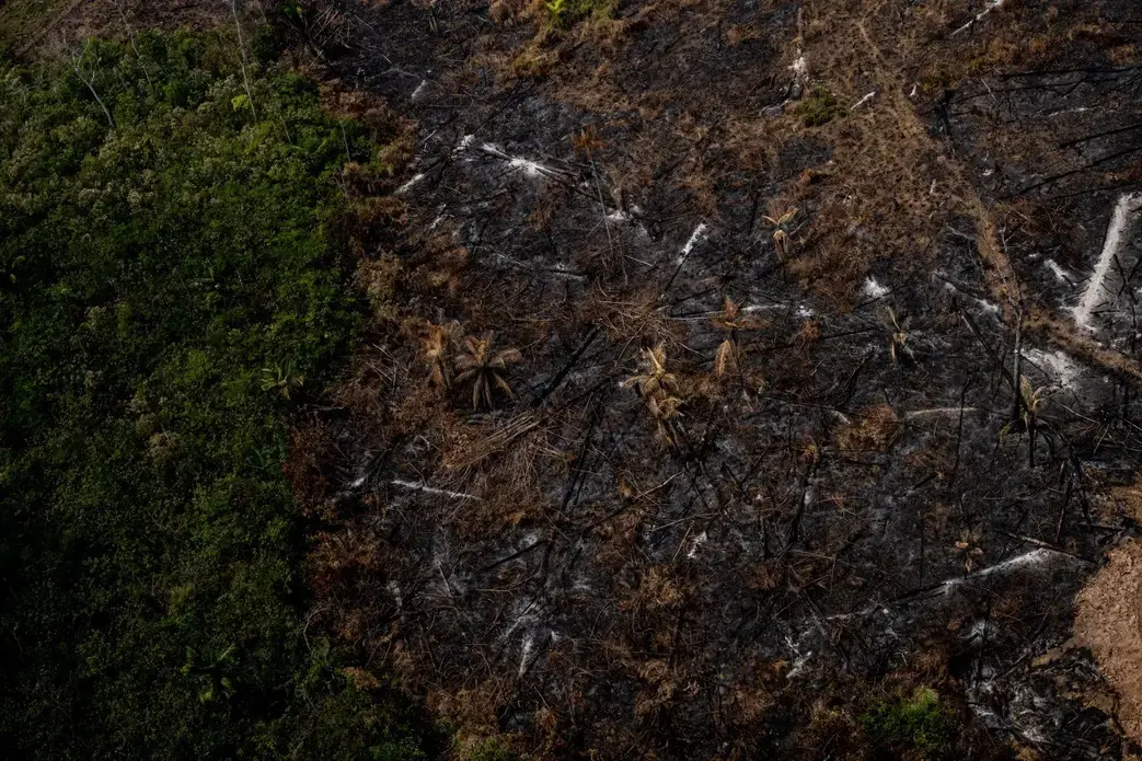 Region of deforested forest in the Acrean Amazon. Image by Marcio Pimenta. Brazil, 2019. Region of deforested forest in the Acrean Amazon. Image by Marcio Pimenta. Brazil, 2019.