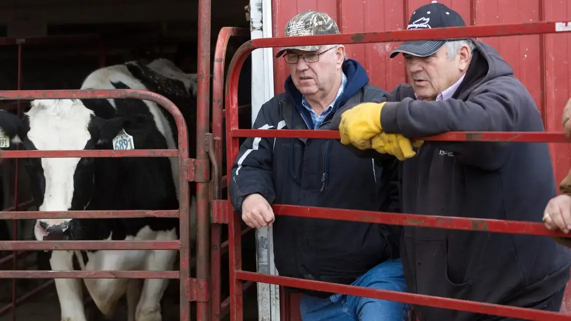 A pair of men watch bidding on livestock during an auction. Image by Mark Hoffman. United States, 2019.