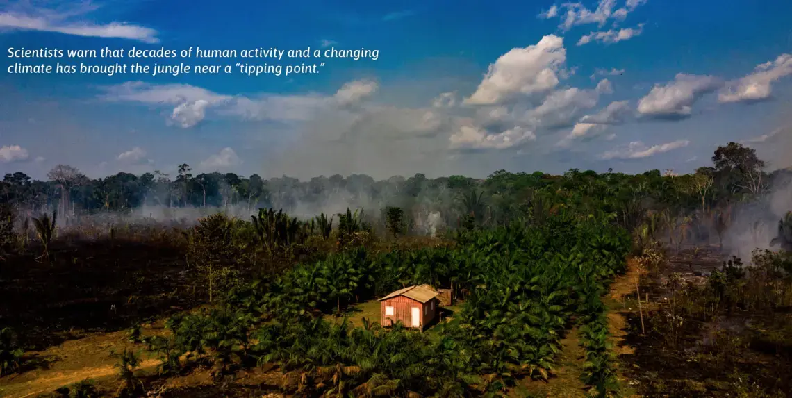 Scientists warn that decades of human activity and a changing climate has brought the jungle near a “tipping point.” Image by Sebastián Liste. Brazil, 2019.