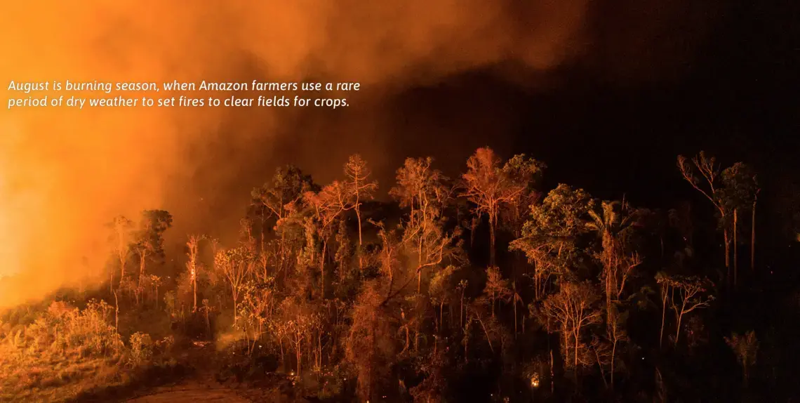 August is burning season, when Amazon farmers use a rare period of dry weather to set fires to clear fields for crops. Image by Sebastián Liste. Brazil, 2019.