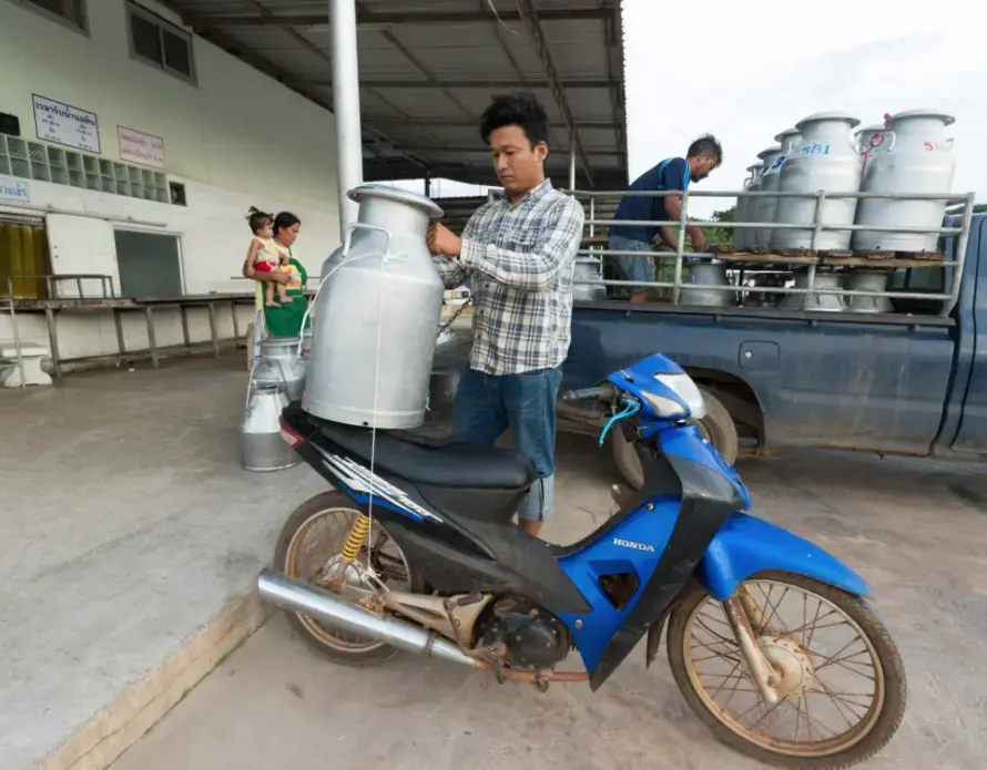A farmer drops off a single can of milk at Prateep Farms in Pak Chong, Thailand. Owner Prateep Kaewnun milks about 400 cows and purchases milk from small farmers in the area. Image by Mark Hoffman. Thailand, 2019.