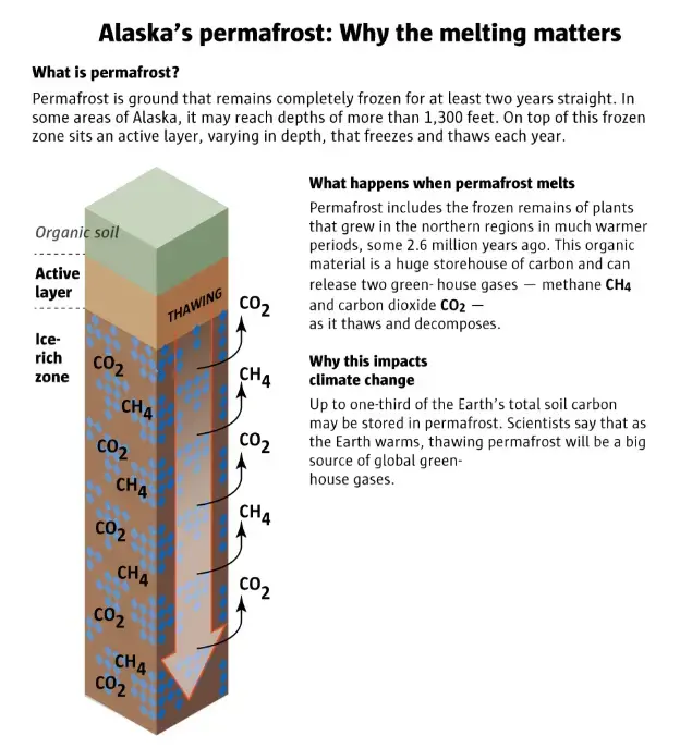 Graphic courtesy of Mark Nowlin/ The Seattle Times. United States, 2019.