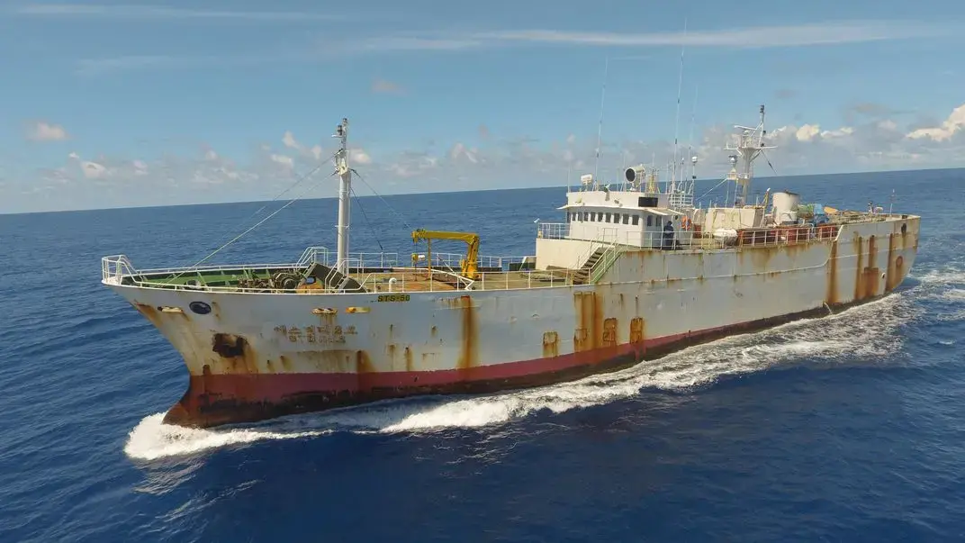 Drone coverage of STS-50 during Operation Jodari. Image by Jax Oliver/Sea Shepherd. Indian Ocean, 2018.