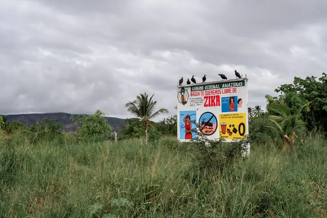 This billboard is part of a government campaign to raise the awareness of the risks of mosquito-borne illnesses in the department of Amazonas. Image by Marcio Pimenta. Peru, 2019.