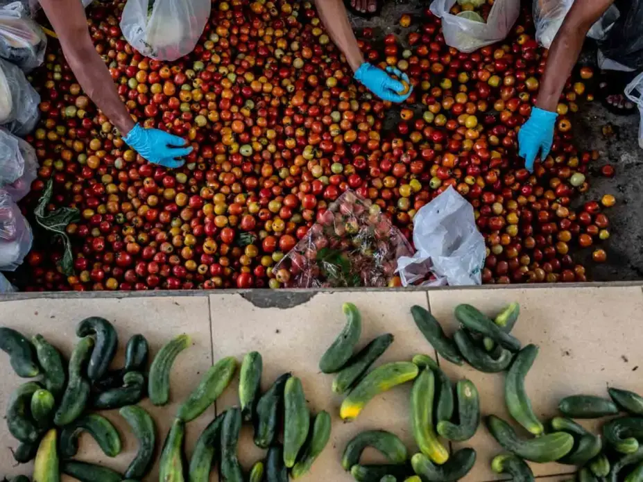 Volunteers pack vegetables at the village center for distribution to the entire village under quarantine. Image by Xyza Bacani. Philippines, 2020.