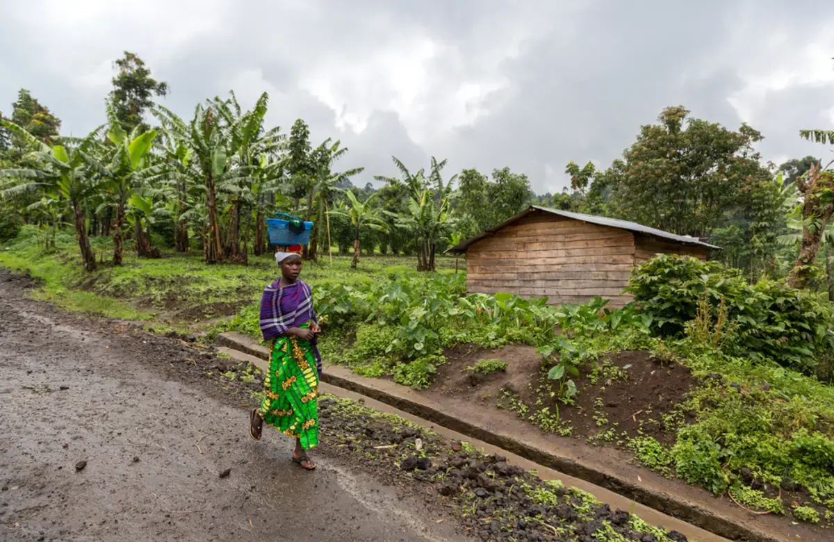 A person carries a basket and walks by a house. 