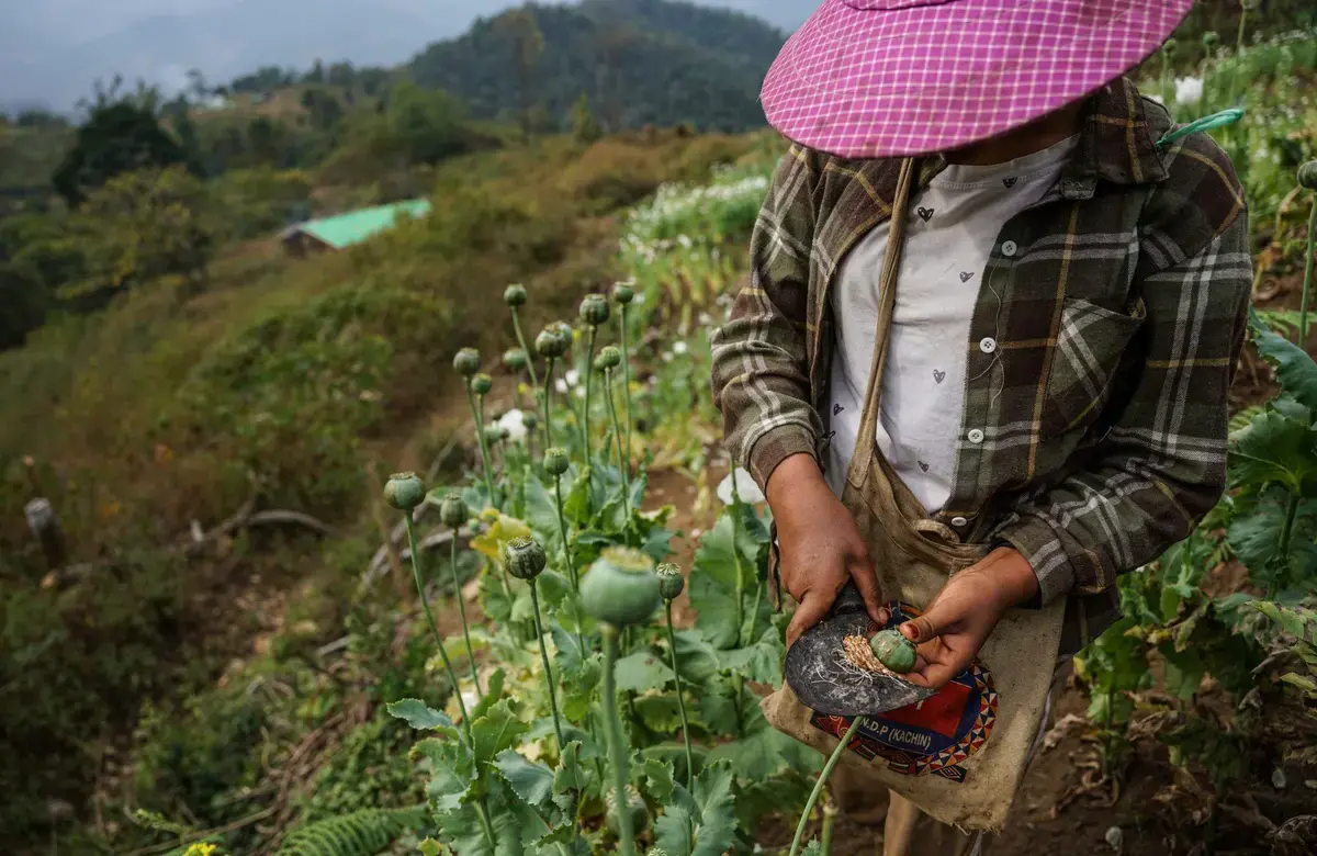 a woman holds a long flower stalk in her hand with more greenery in the background