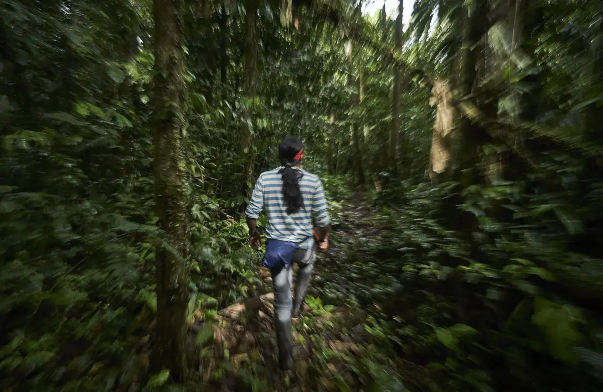 a man is running into a forest with his back to the camera. foliage rushes on each side