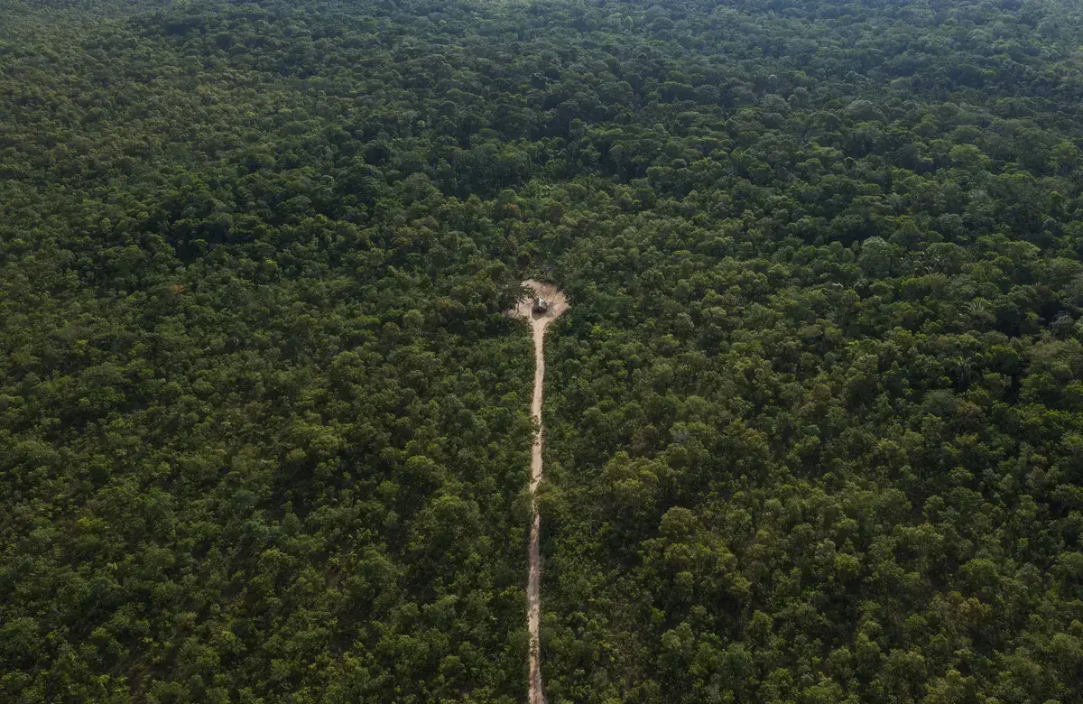 an aerial shot of the rainforest with a long strip of deforested land down the middle