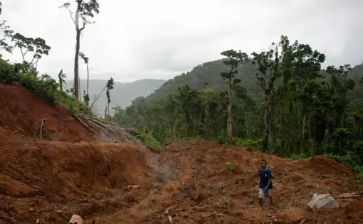 A logging road leads up to the main camp of Gallego, a logging company forced to stop operations by a local community. Image by Monique Jaques. Solomon Islands, 2020.