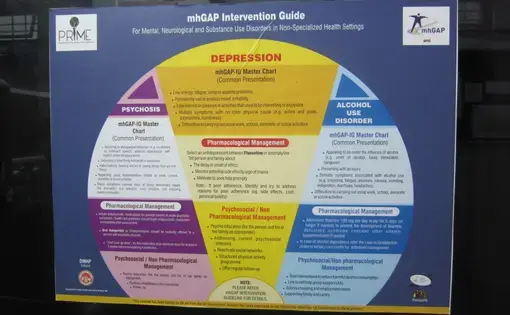 A guide for treatment of depression in India. Low-cost local solutions are working. Image by Joanne Silberner. India, 2016.
