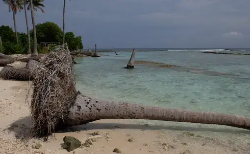 In the Maldives, most of the country's 1,200 coral islands experience shore erosion, which environmentalists attribute to the degradation of reef systems, harbor construction, and storm surges. Image by Kai Schultz. Maldives, 2017.