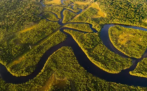 Amazon rainforest in Brazil. Image by Gustavo Frazao / Shutterstock. Brazil, undated.