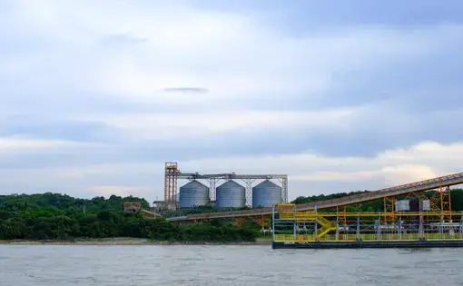 China is Brazil's largest trade partner, buying much of its beef and soy. Bolsonaro has leaned into this partnership — but with potentially risky downsides. Image by Heriberto Araújo. Brazil, 2019.