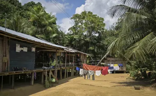 Os indígenas de Timbó vivem em casas de madeira elevadas para se proteger de cobras e animais selvagens. Imagem de Luis Ángel. Colombia, 2020.