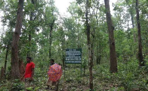 Image by Chitrangada Choudhury.