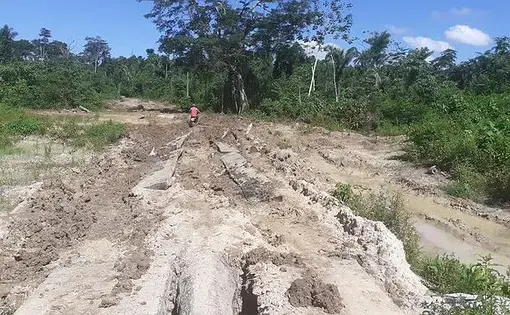 Pará contained a large part of the deforestation in the Amazon Legal. Image courtesy CBN.