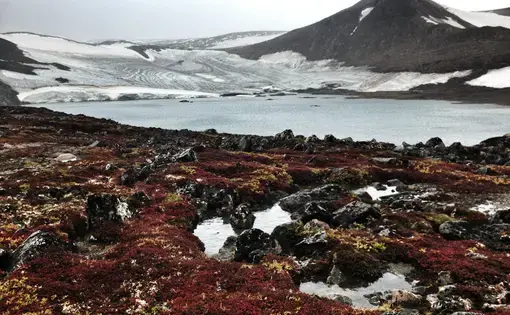 Image by Jonathan Vigliotti. Greenland, 2013.