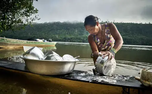 An Indigenous Rikbaktsa woman cleaning on the banks of the Arinos River, north of Mato Grosso. Although the project of the Castanheira plant ensures that the various Indigenous lands, including the Apiaka, Rikibaktsa, Kaiabi, Munduruku and Tapajuna, would not be affected by the flood, the hydrographic alteration would leave the entire village deprived of resources it depends on so much for their subsistence food and for their sacred rituals.