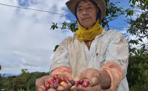 Image by Camila DeChalus. Colombia, 2016.