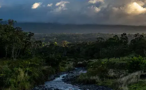 Jungle in the shadow of Rincón de la Vieja, a volcano in north-west Costa Rica that is often obscured by clouds. Image by Dado Galdieri. Costa Rica, 2020.