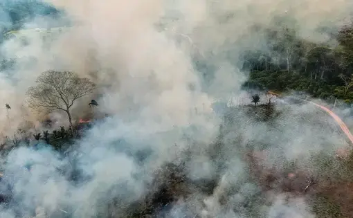 Aerial photo gives the size of the area destroyed by the felling and fire in a federal government Incra settlement project; families say clearing to expand cultivation fields. Image by Jardy Lopes/Notícias da Hora. Brazil, 2019.