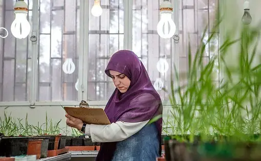 A technician records data on seeds germinated in a lab at ICARDA's facility in Lebanon. Image by Jacob Russell. Lebanon, 2016.