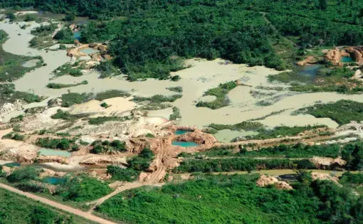Aerial view of gold mining area in Amazon forest region in Pará. Image by Tarcisio Schnaider/Shutterstock. Brazil, date unknown.