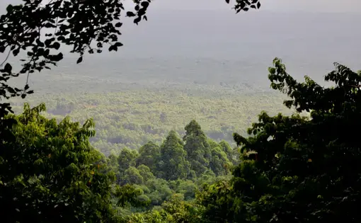 A view of the rainforest in the DRC. Image by Kiki Dohmeier / Shutterstock. Democratic Republic of the Congo, undated.