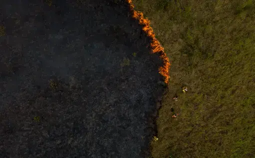 In Porto Velho, in the state of Rondônia, a prescribed burn spreads over pastures, threatening the surrounding forest. Image by Flavio Forner. Brazil, undated.