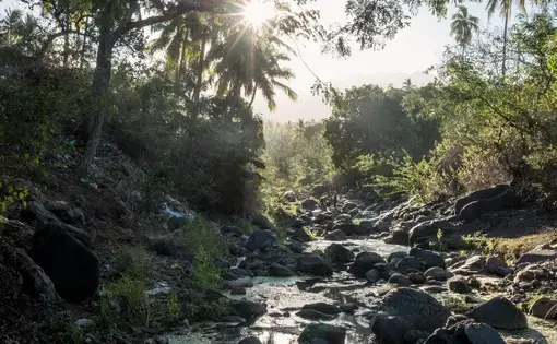 The trickle of a once-potent river on the island of Anjouan, in the Comoros. Image by Tommy Trenchard / The New York Times. Comoros, 2019.